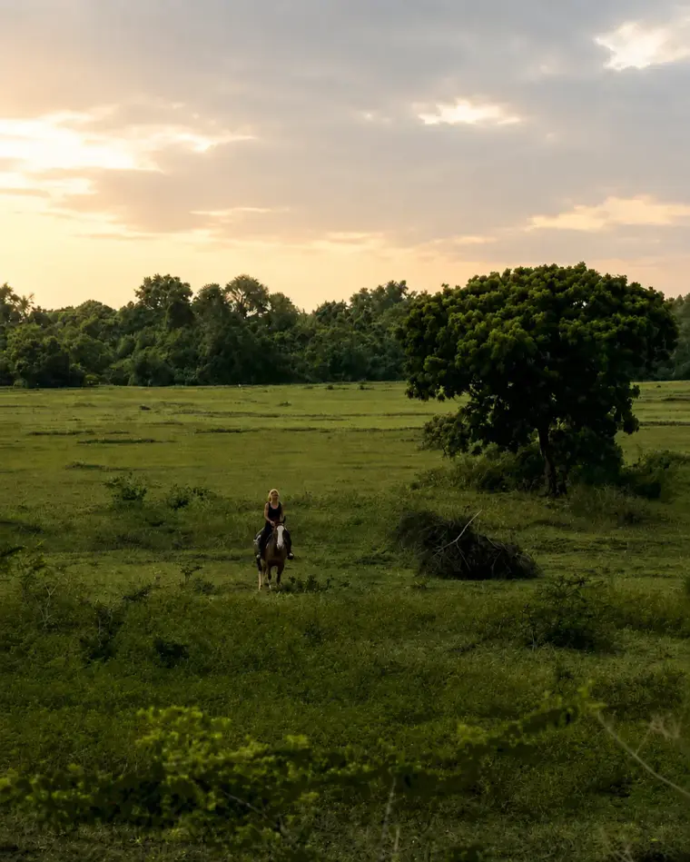 A lone rider crossing an open green field under the late-day sky at Vonfidel Ranch.