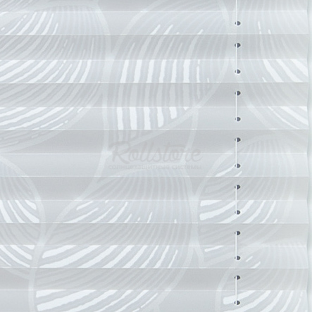 Анже апельсин