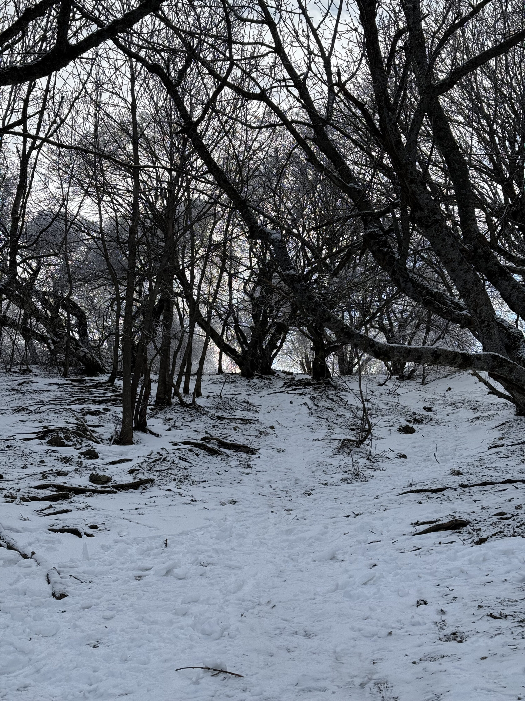 Крутой подъем на Бештау