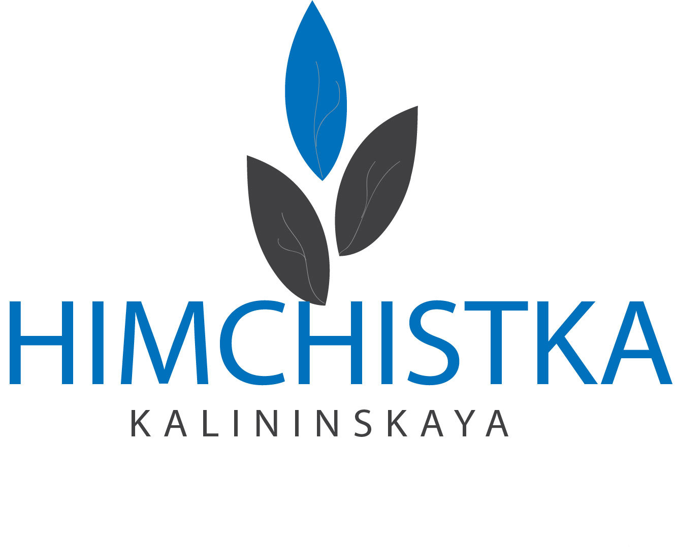 himchistka_kalina