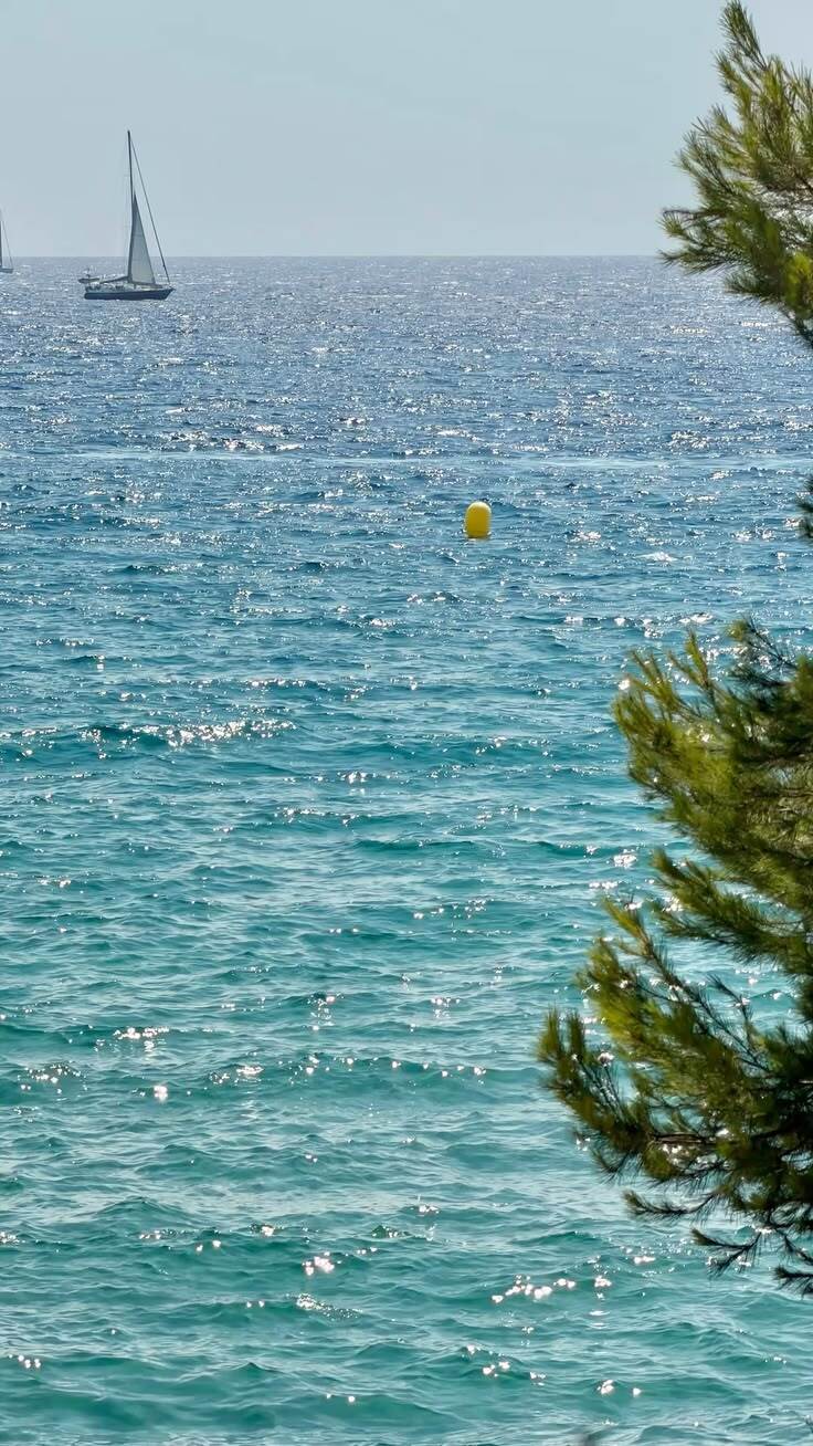 Море рядом с базой отдыха Марго в Орджоникидзе