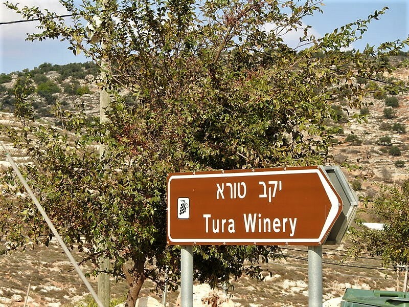 Купить кошерное вино Тура Вайнери (Tura Winery)