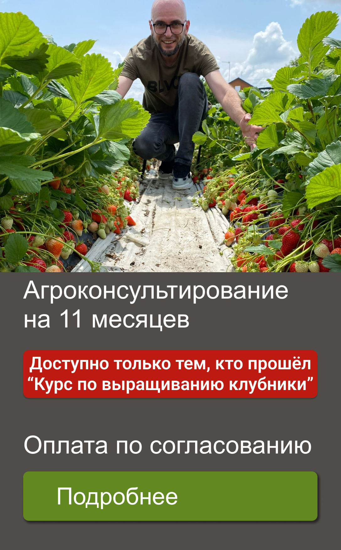 Курс по выращиванию клубники от Алексея Кулика