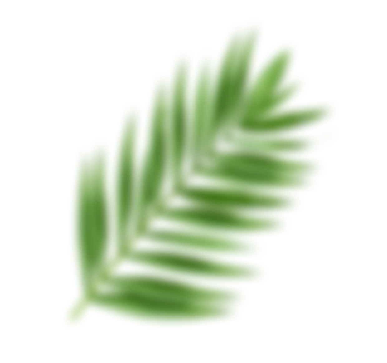 Alga Fitness в Черниковке | Фитнес клуб в Уфе