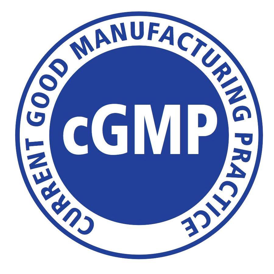 GMP audit