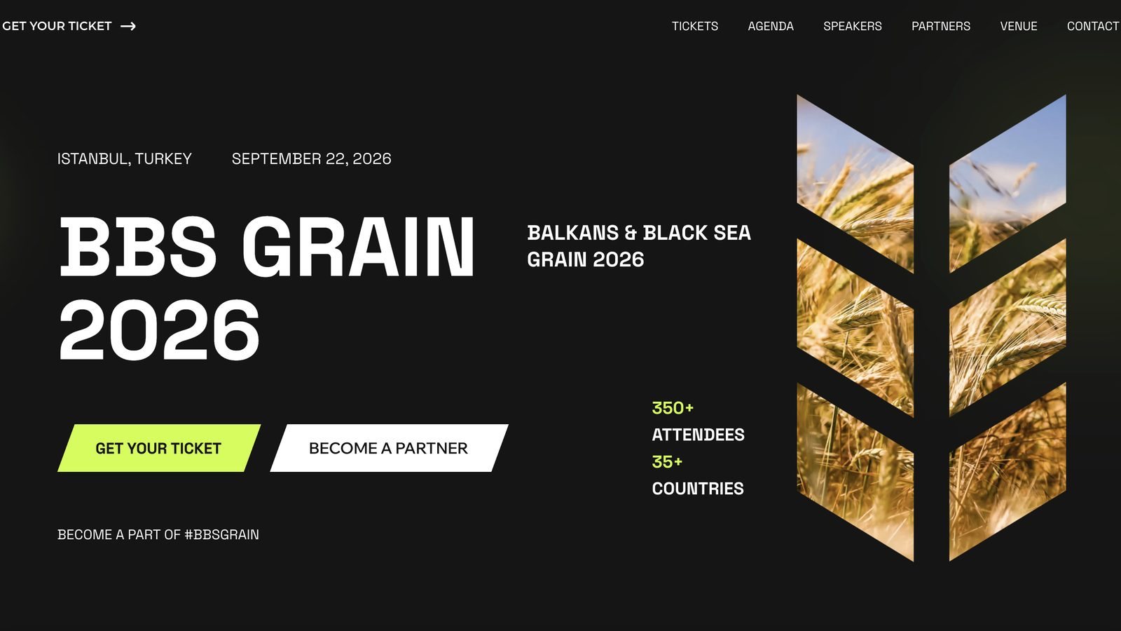 Первый экран сайта BBS Grain