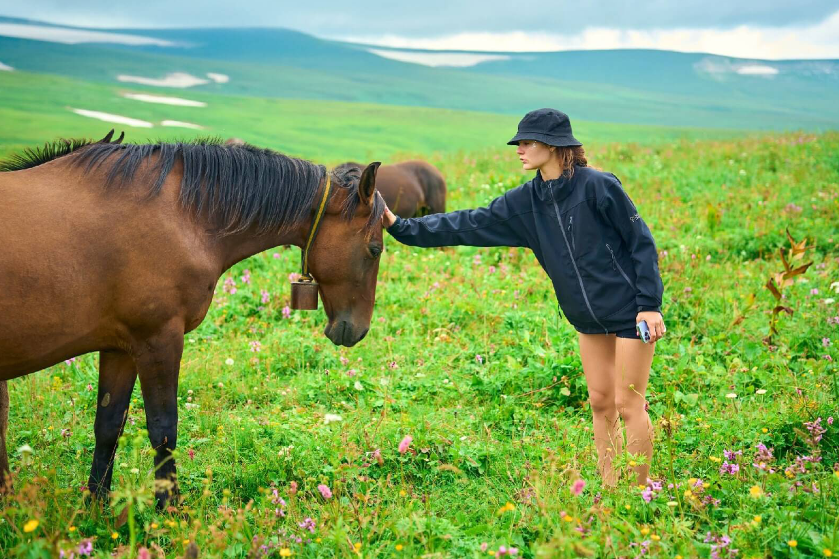 Лаго Наки лошади