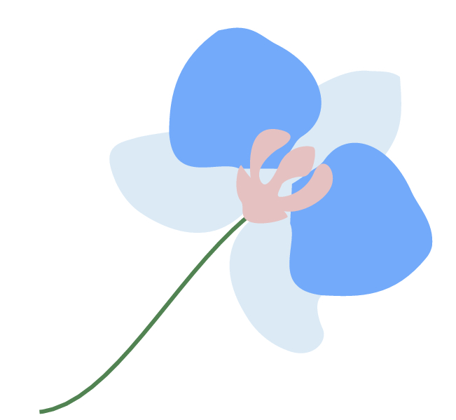 Доставка цветов и букетов в Сочи, Адлер, Красная поляна, Сириус.