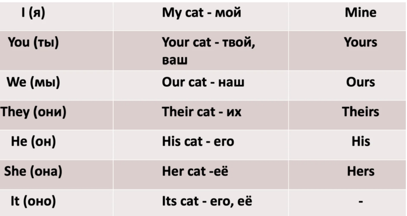 притяжательные местоимения