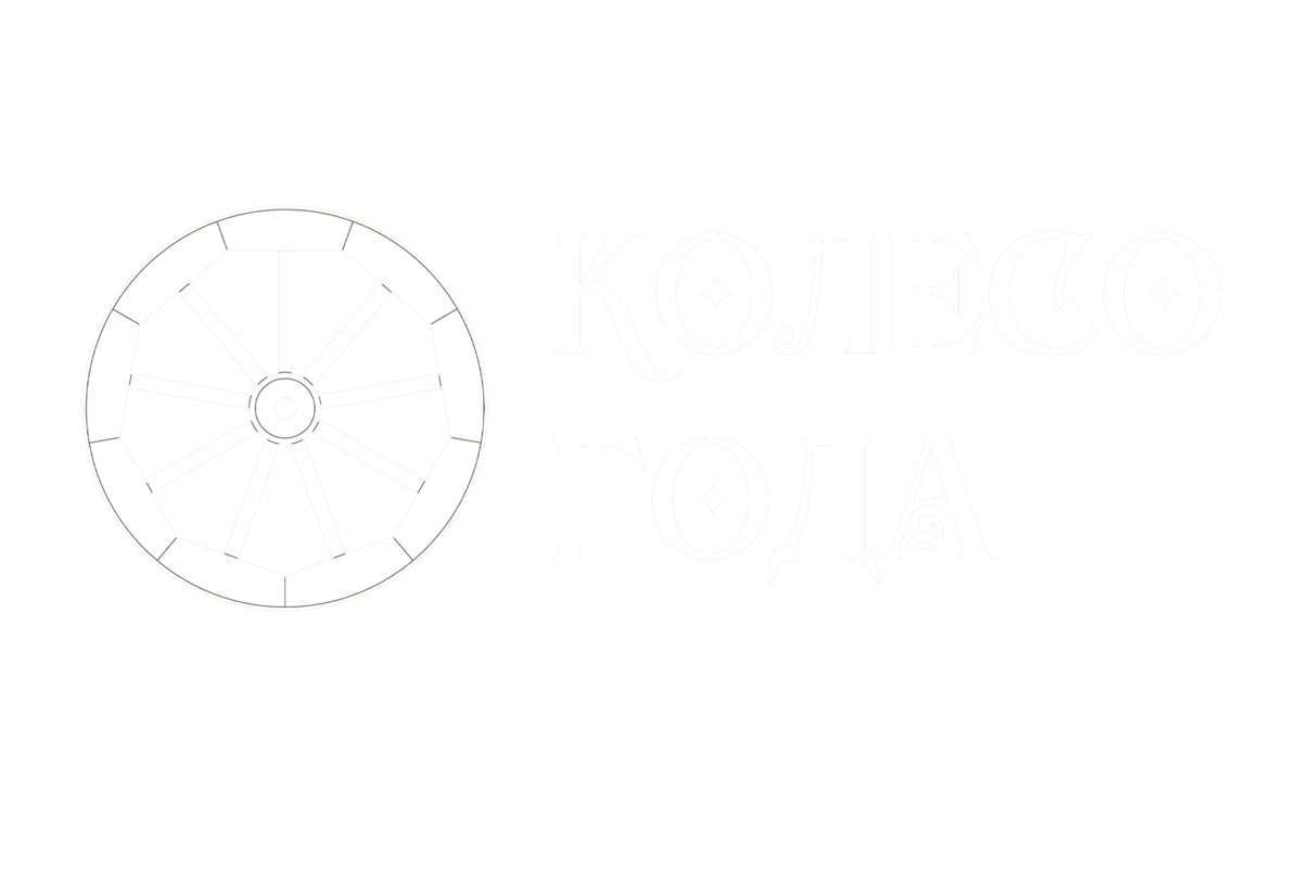 Партнёр проекта 1