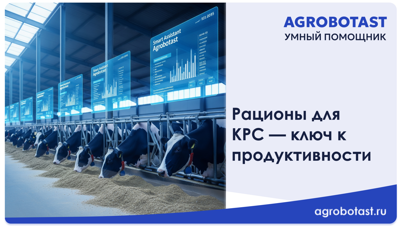 Рационы для КРС — ключ к продуктивности