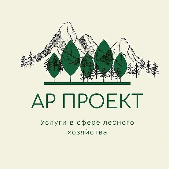  АР проект 