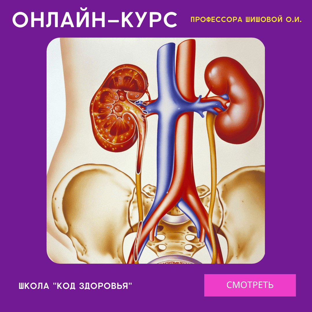 Мочевыделительной системы