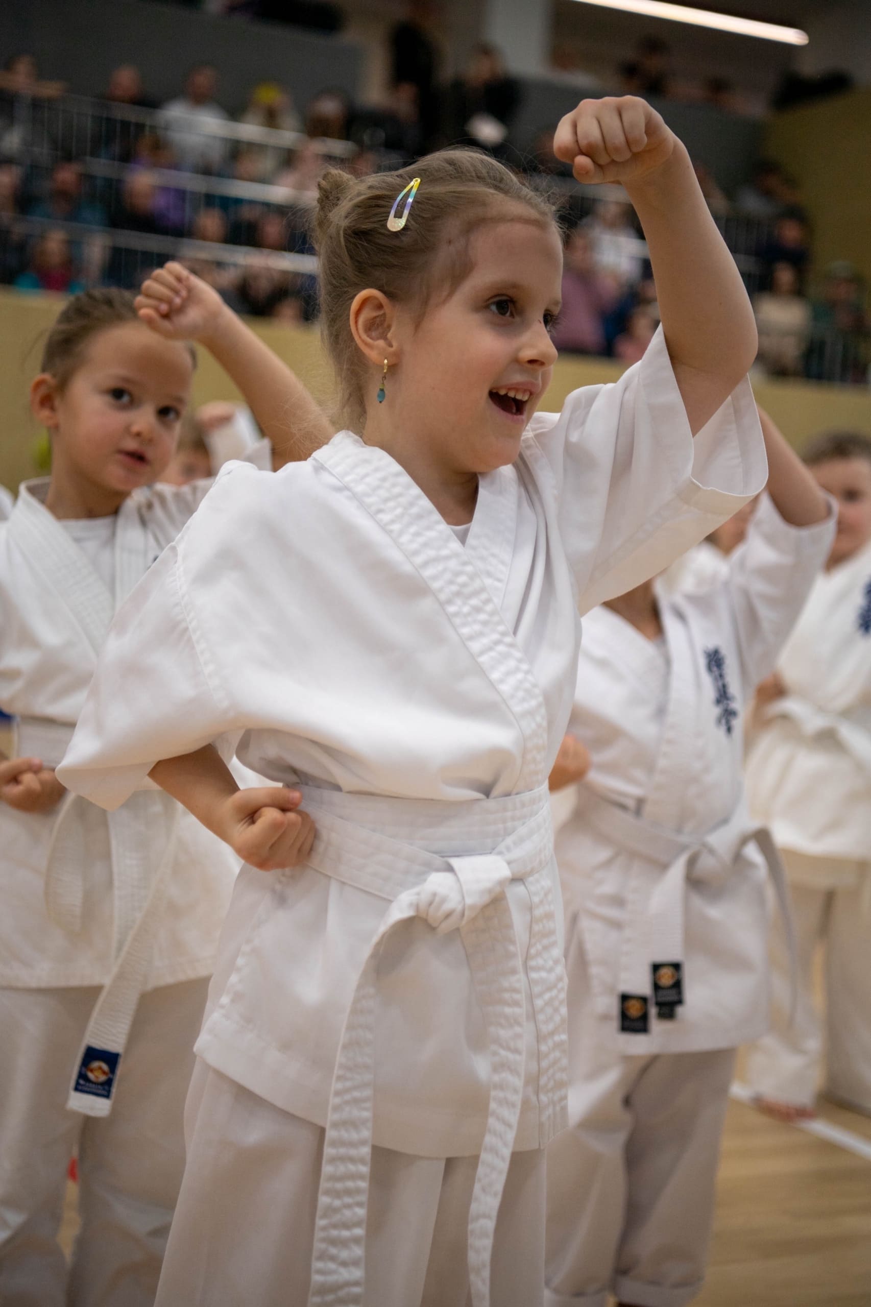 Белый пояс в каратэ киокушинкай