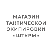 Штурм