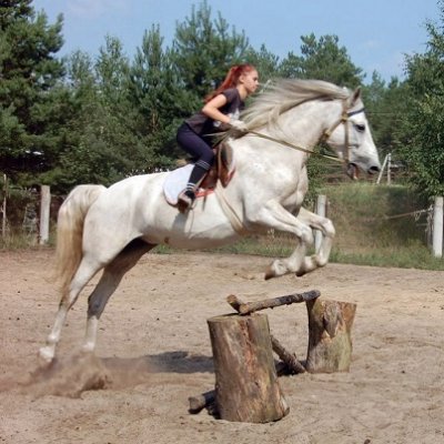 Лошади для прогулок верхом и в санях. Санаторий «Чувашия»