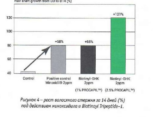 Рисунок 4. Рост волосяного стержня под действием миноксидила и Biotinoyl Tripeptide-1