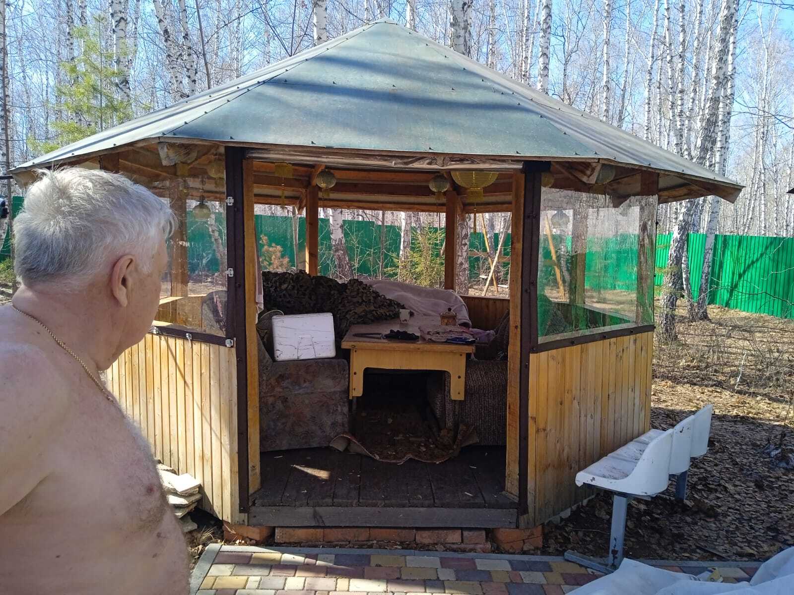 Саргазы
