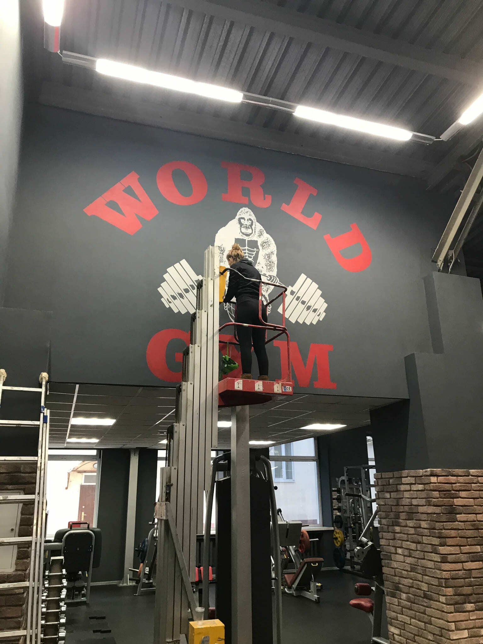 Оформление стен в фитнес-клубе «World Gym»