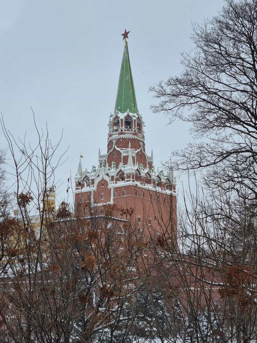 Спасская башня Кремля за зимними деревьями