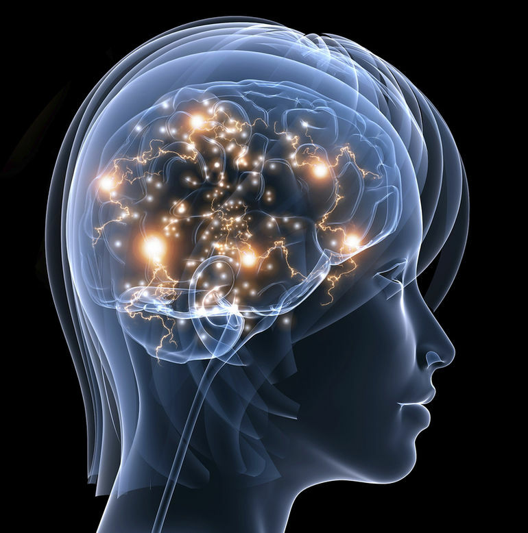 Медитация для мозга. Сознание человека. Нейрофизиология мозга. Мозговая активность.