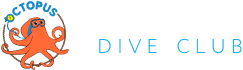 octopus dive club школа дайвинга в москве