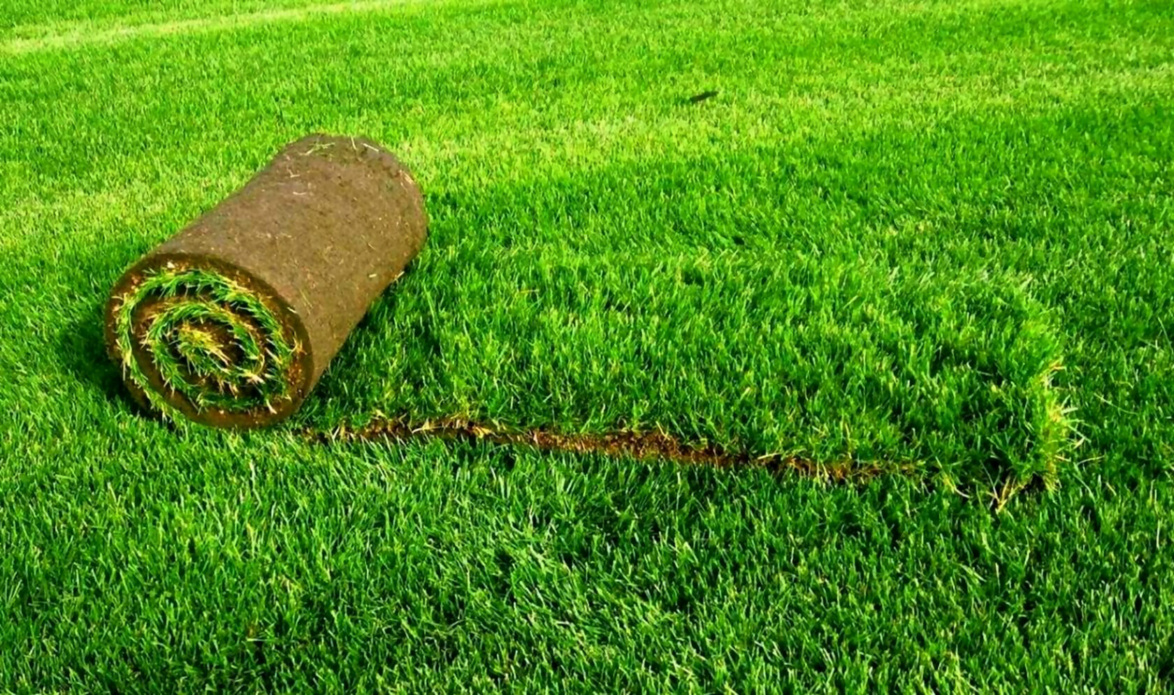 Стоимость стрижки газона в московской области