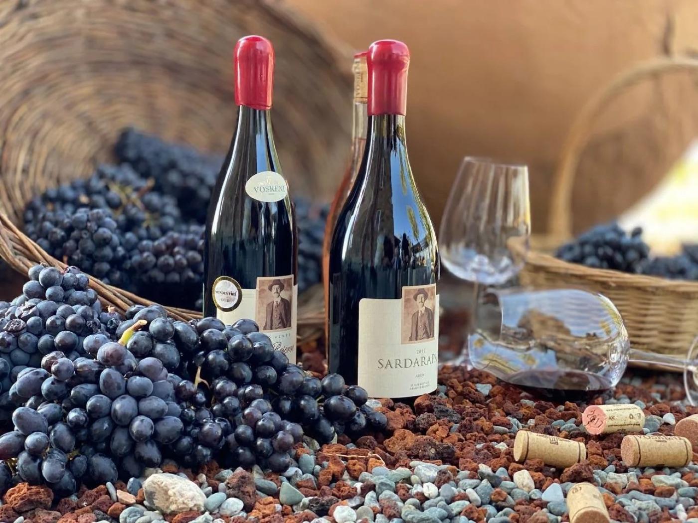 Винодельня Voskeni Wines, практикум бизнес-кэмпа