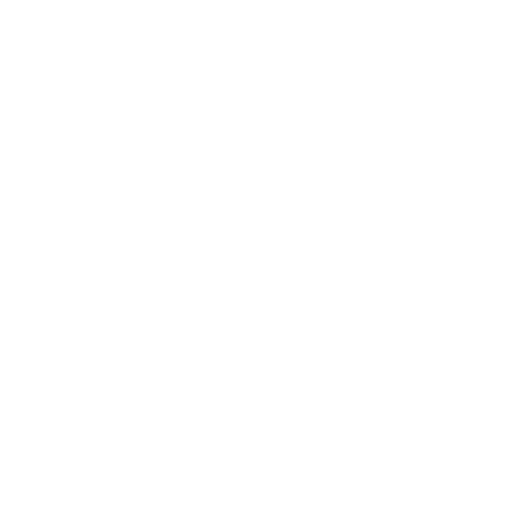 Our company
