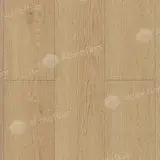 Дуб Марципановый