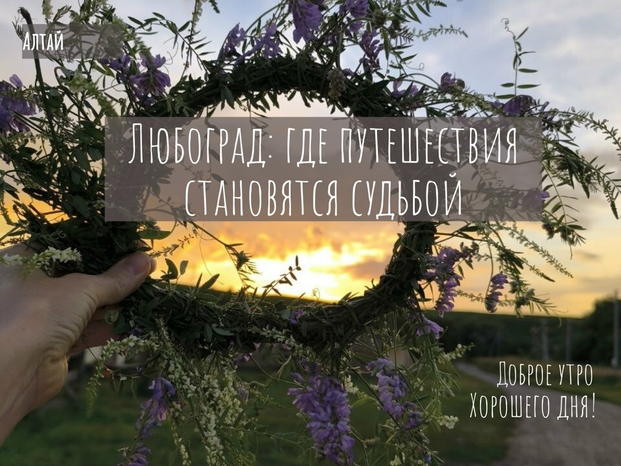 Отзывы и впечатления 