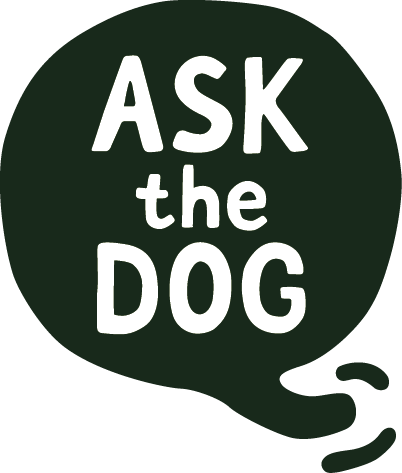 Ask the Dog | Спросите собаку!