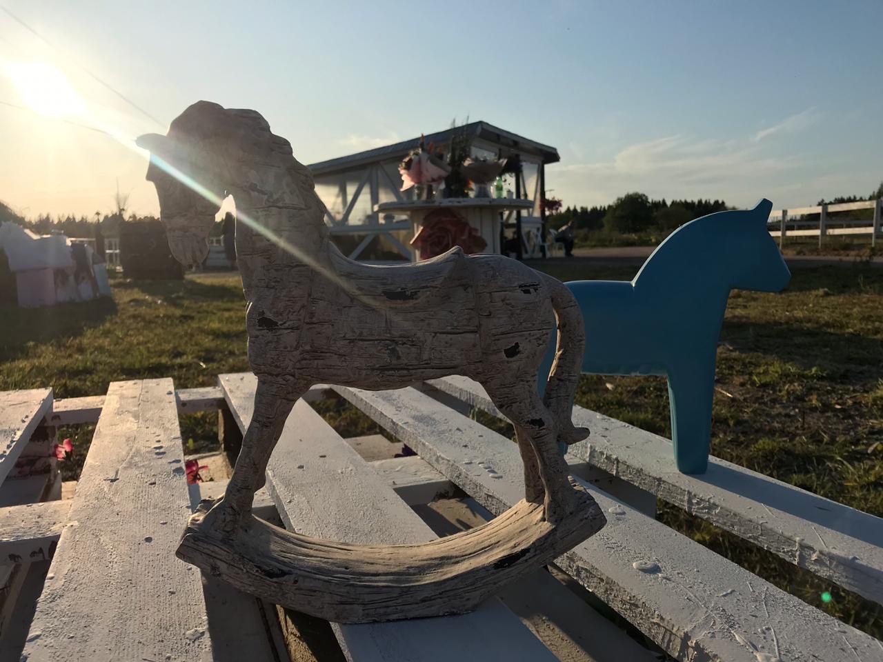 Конный клуб в СПб