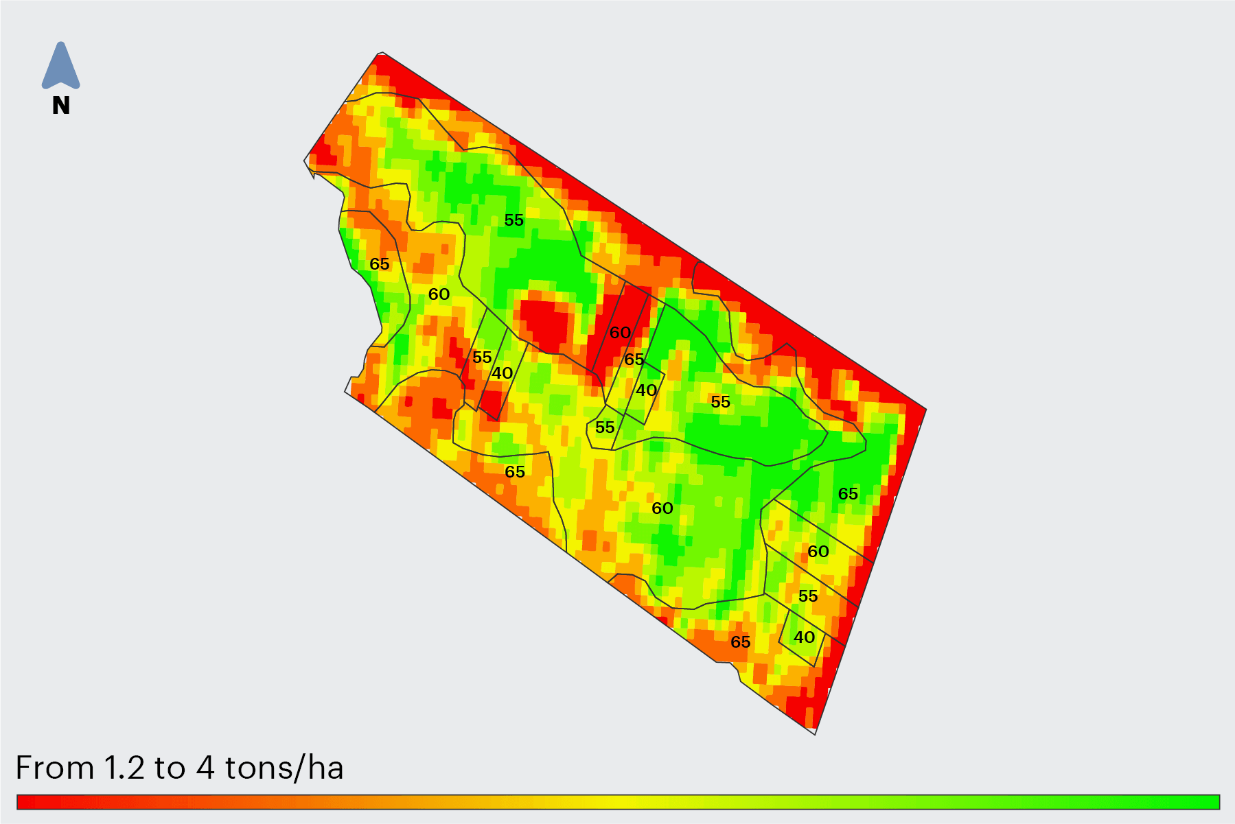 Andrey Kapritsa from Ukraine "We reduced the seeding rate for