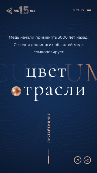Разработка сайта для РМК. Экран 5, цвет отрасли
