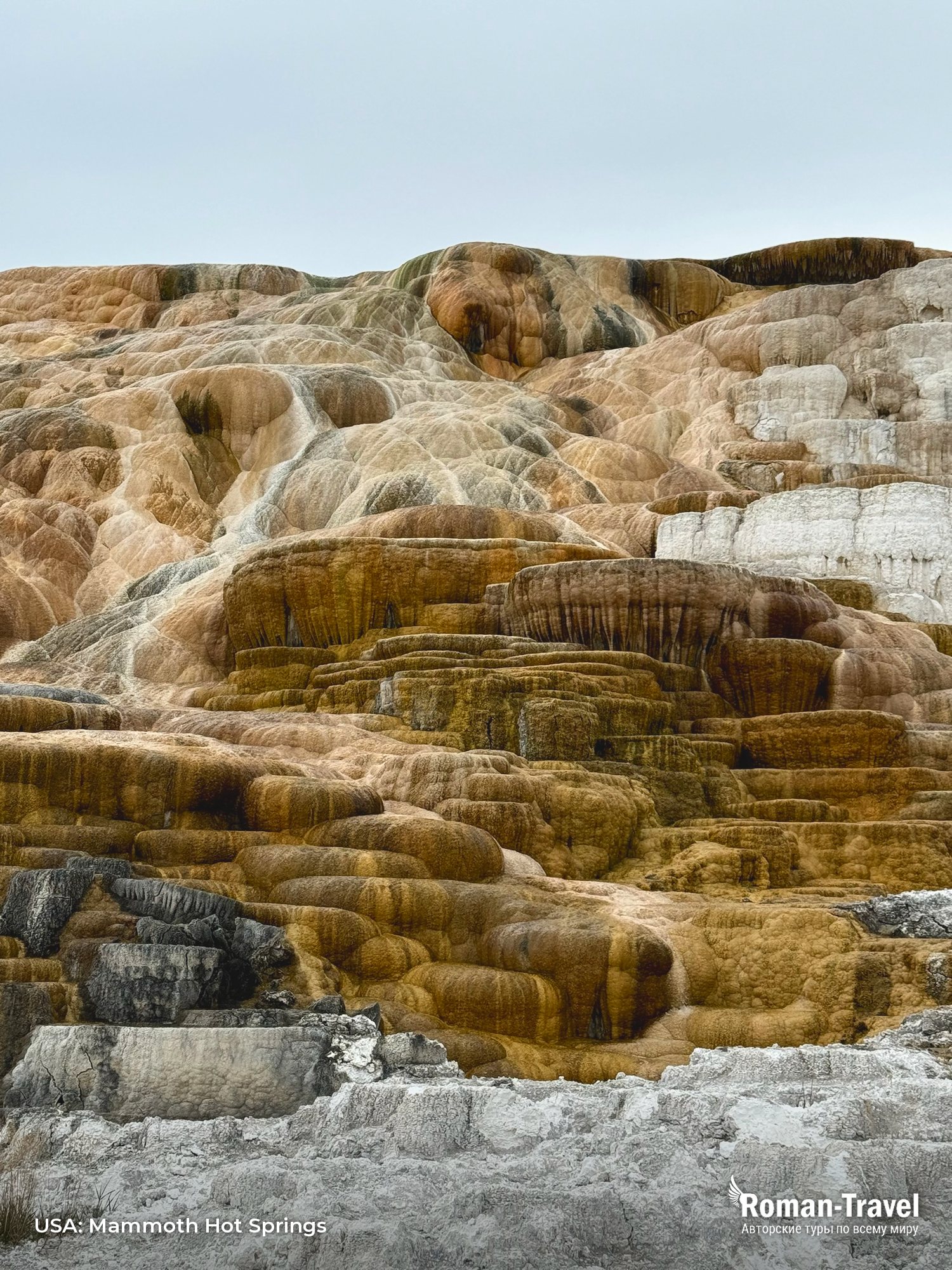 usa-mammoth-hot-springs-yellowstone-wyoming