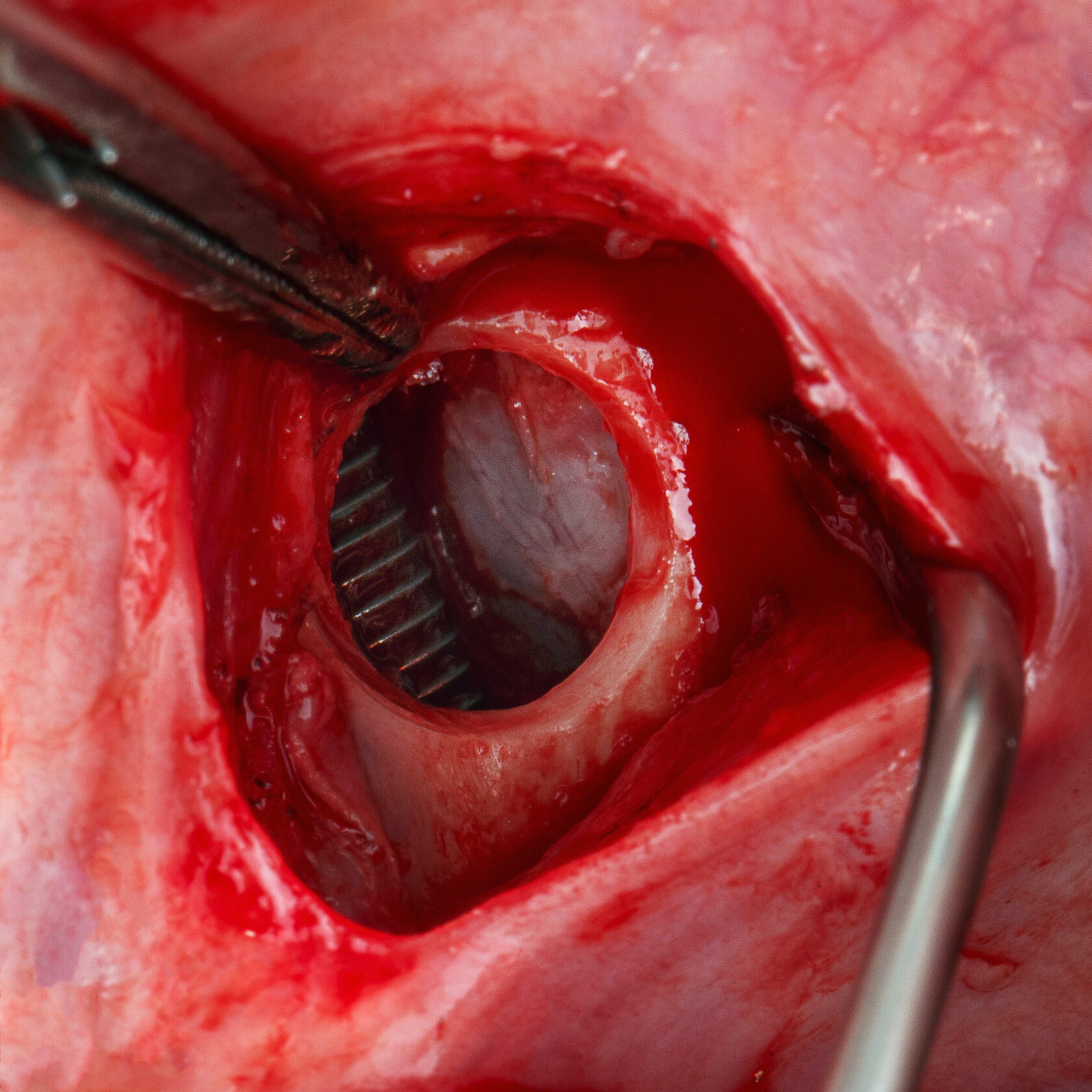 Фото с конференции 