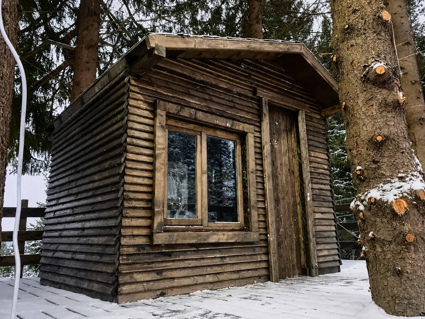 Верёвочный парк на деревьях и игровой домик — фотография 3