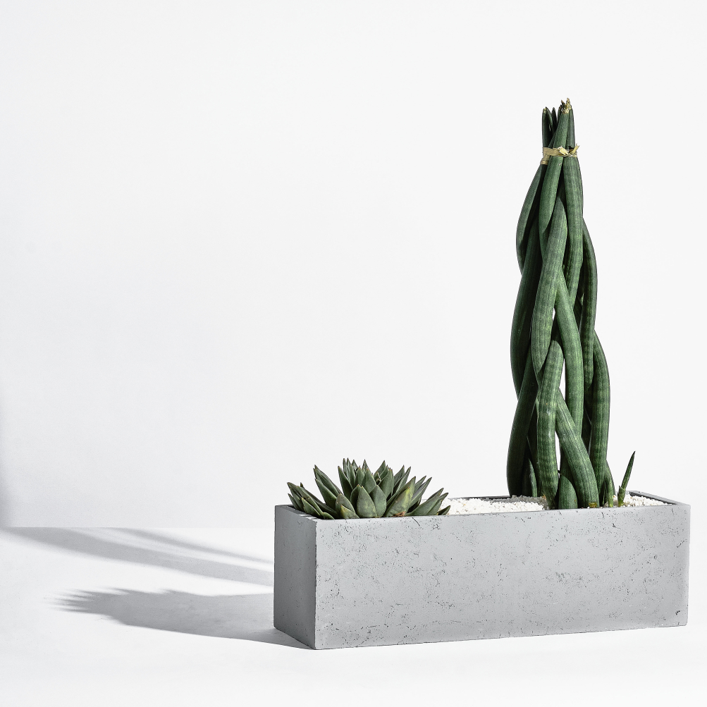 КАШПО МРАМОР