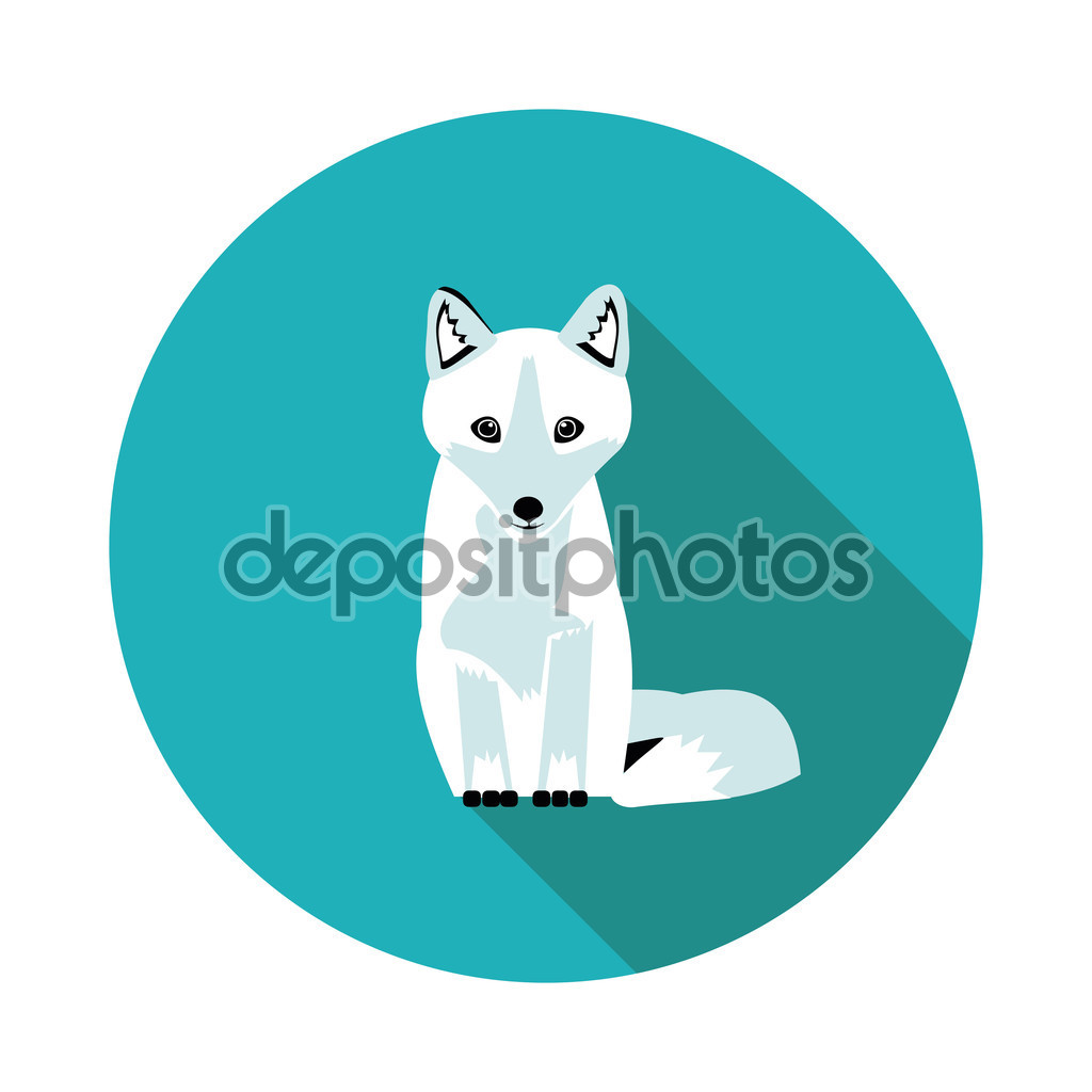 Arctic Fox