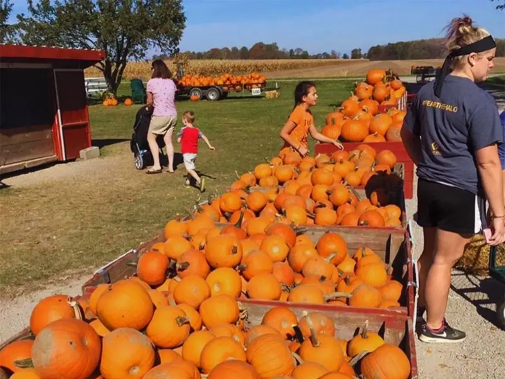 Праздники приходят