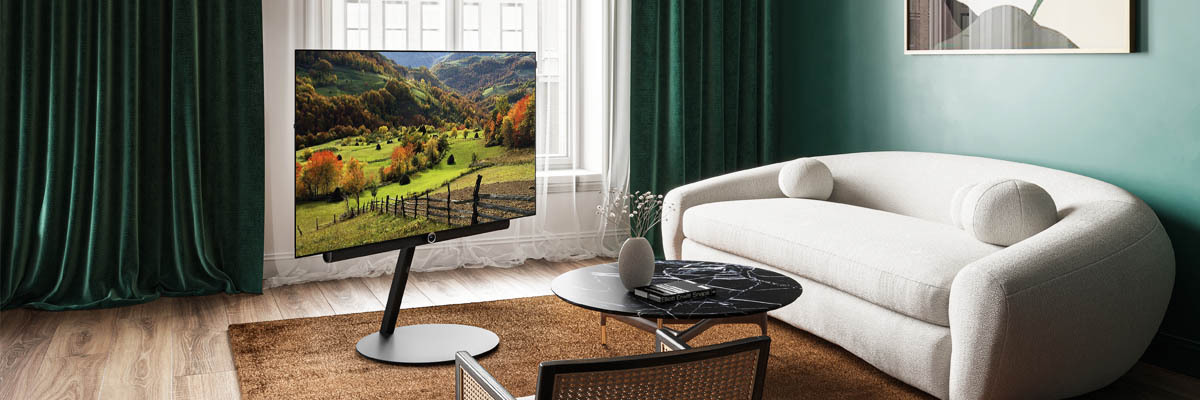 Подарок при покупке телевизора Loewe и Loewe We.