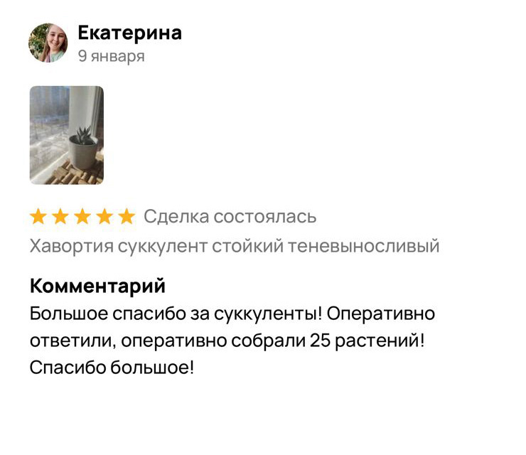 Мастер-классы для детей и взрослых - сделайте флорариум своими руками!