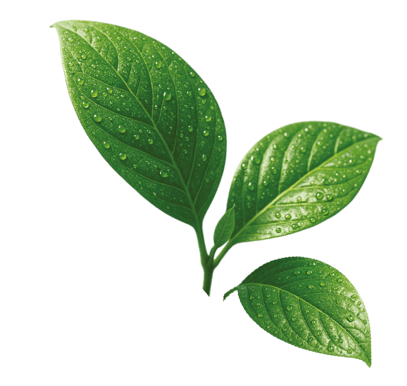 удобрение Greenura листики