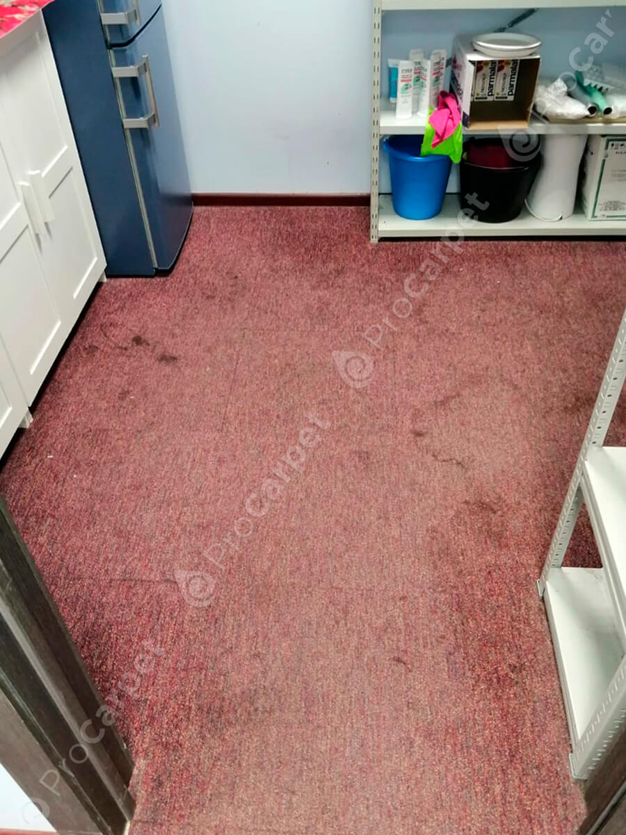 Химчистка ковров в Химках с вывозом и на дому – Pro Carpet