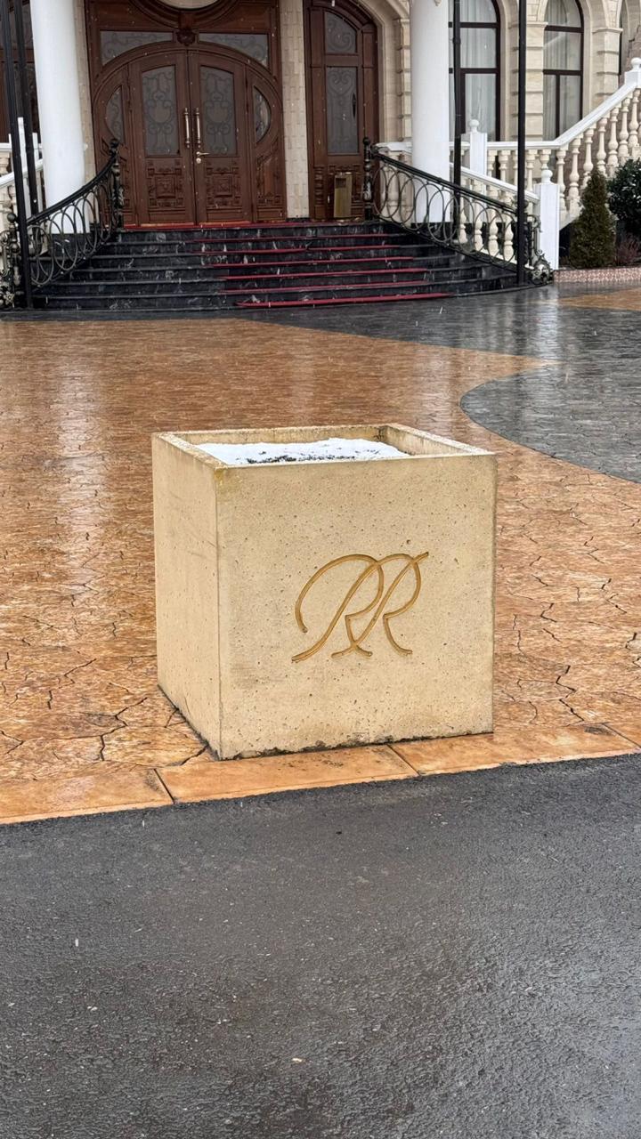 Квадратное бетонное кашпо с растением перед стеной