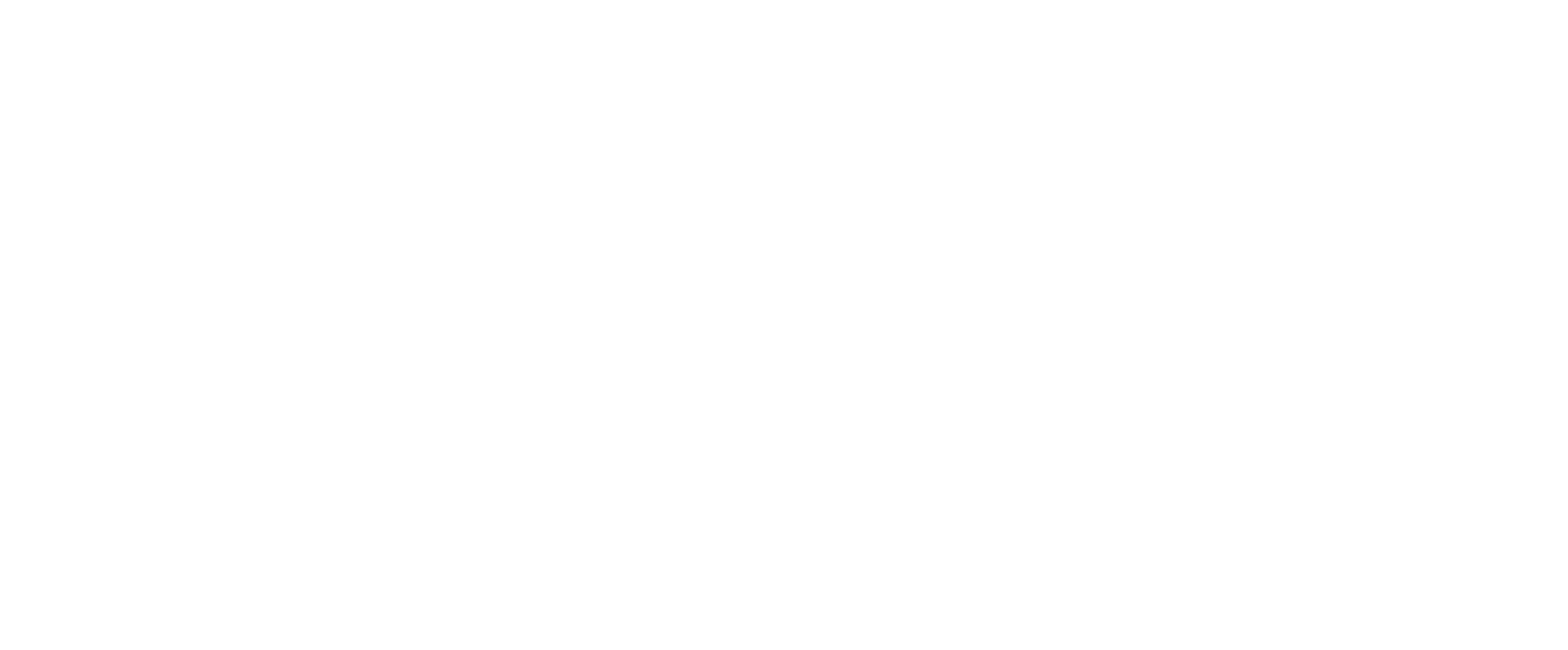 Бизнестур