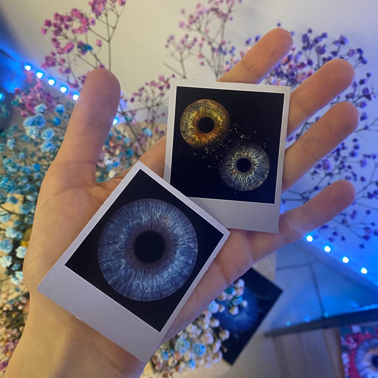 Полароид Воронеж