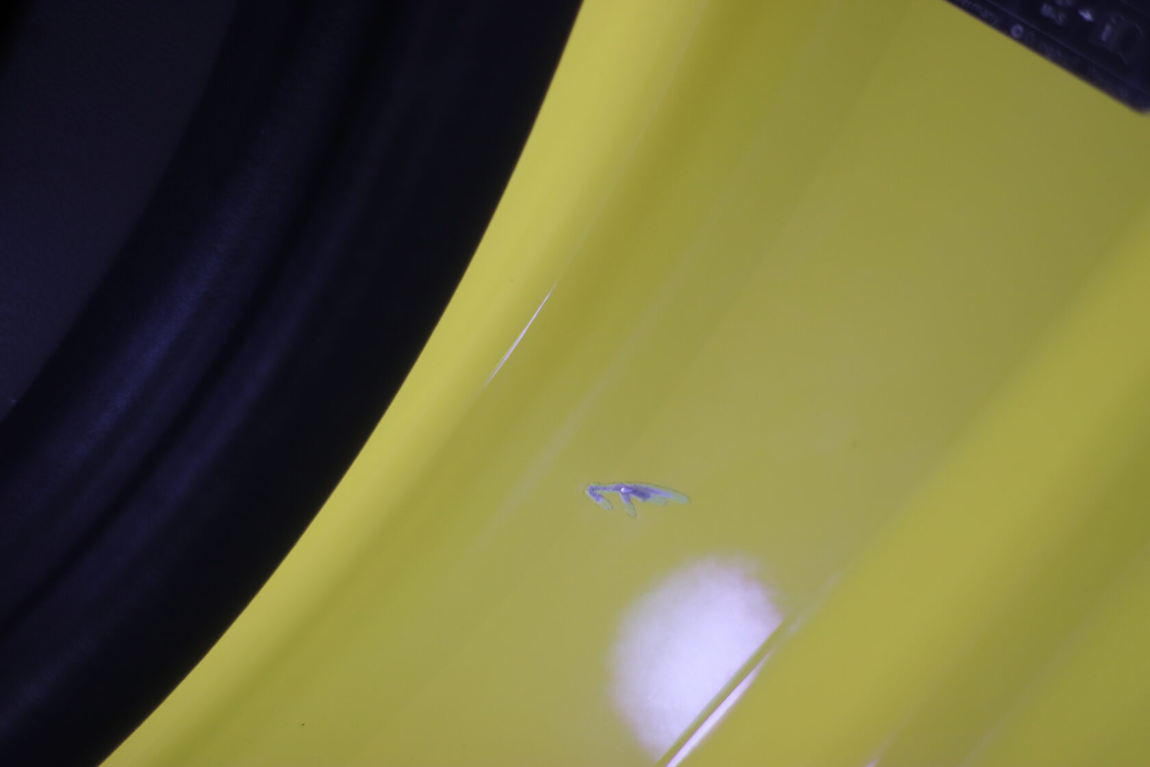 Удаление царапин и сколов| THE VMYATINOFF