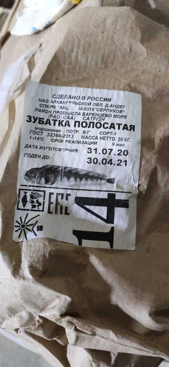 зубатка полосатая